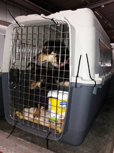 1 PHOTO13 2020 03 11 07 43 53