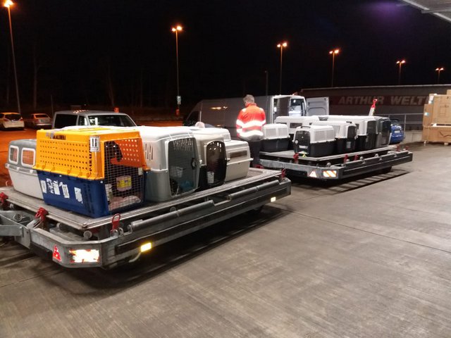 1 PHOTO14 2020 03 11 07 43 53