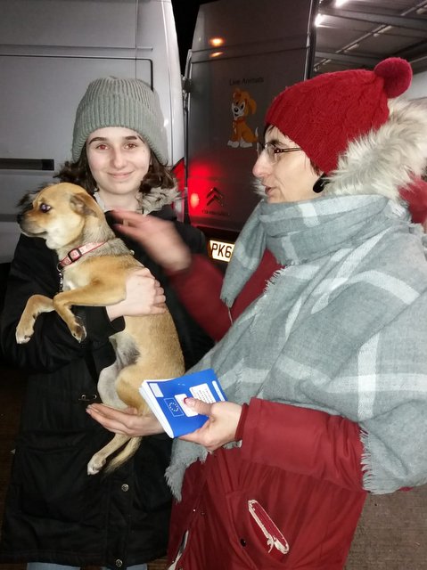 1 PHOTO19 2020 03 11 07 43 54