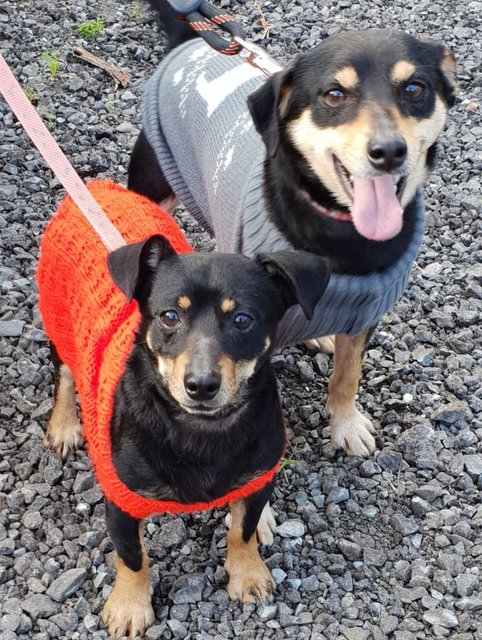 1 PHOTO2 2020 03 11 07 44 47