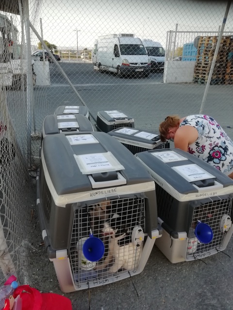 1 IMG 20201016 170936