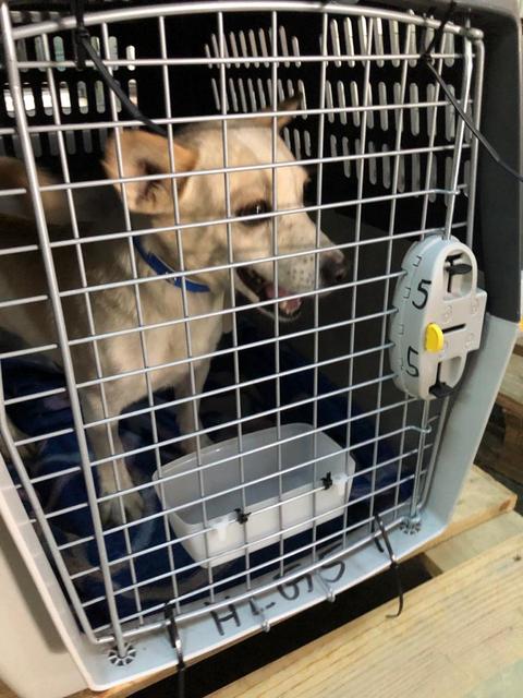 1 PHOTO 2020 10 17 20 06 59