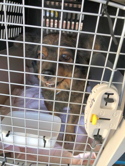 1 PHOTO 2020 10 17 20 07 01