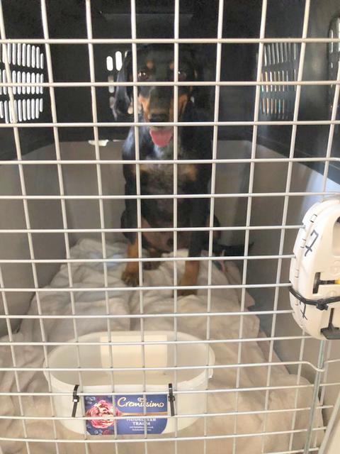 1 PHOTO 2020 10 17 20 07 02