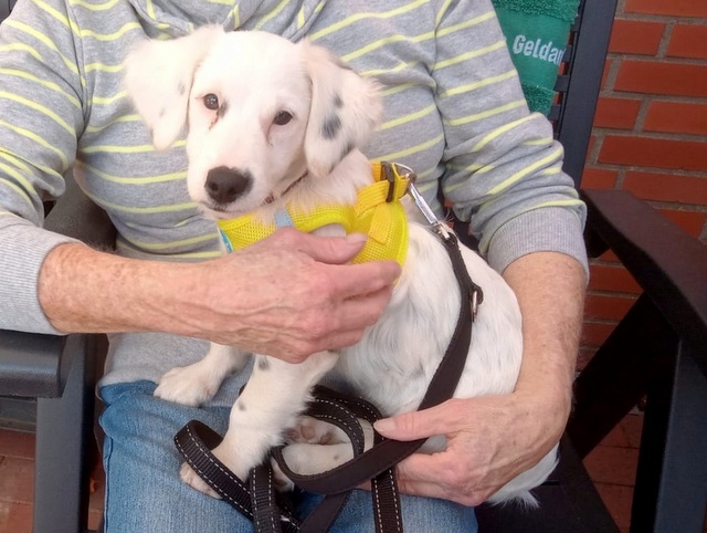 1 IMG 20201017 WA0063