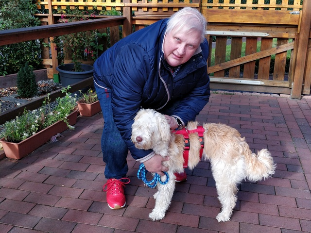 1 IMG 20201017 114427