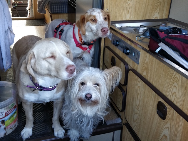 1 IMG 20201017 121318