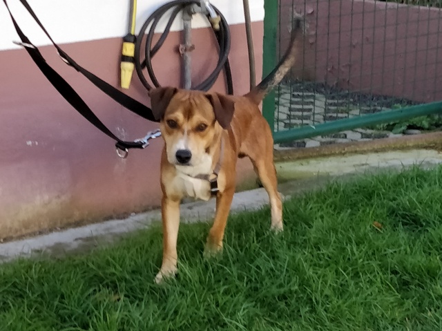 1 IMG 20201017 130133