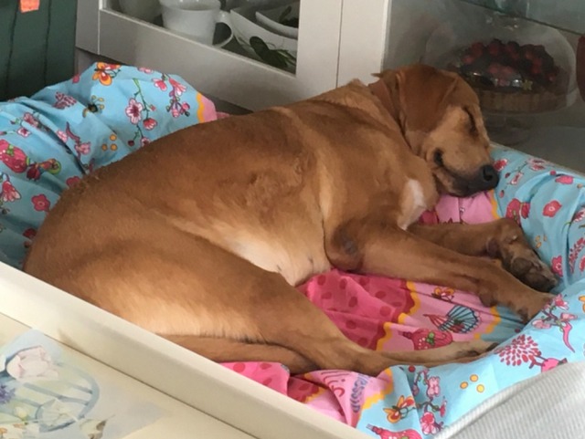 1 PHOTO 2020 10 17 12 46 06