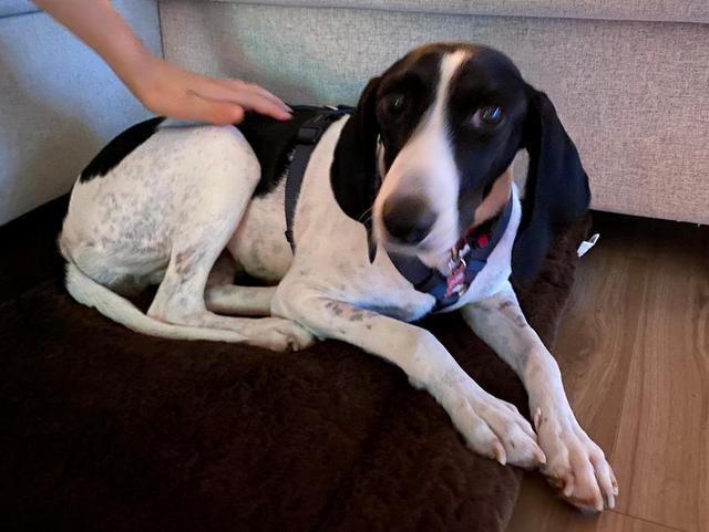 1 PHOTO 2020 10 17 12 59 28