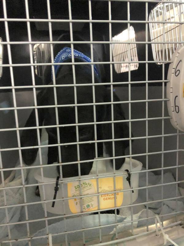 1 125862616 195996892117263 3596911819008204789 n