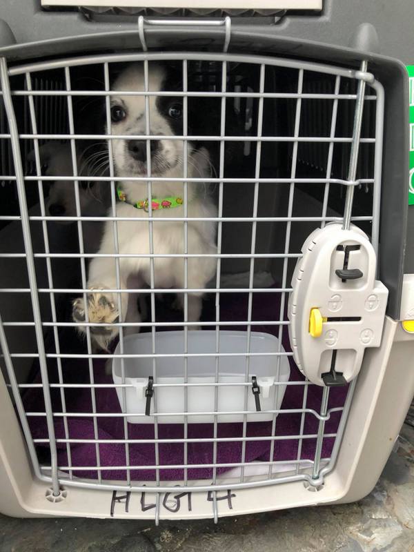 1 125872773 384338422877941 1620588282218450000 n