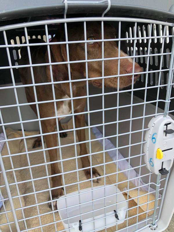 1 125872778 192693318993611 4046246125147237115 n