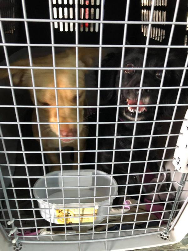 1 125879423 3416972121689159 6224742571582409570 n