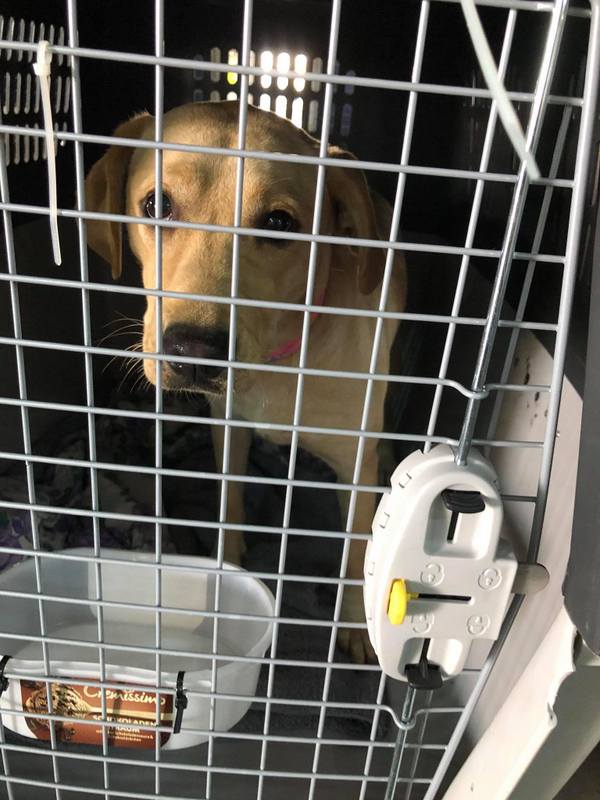 1 125879873 364886554584612 310440642960120273 n