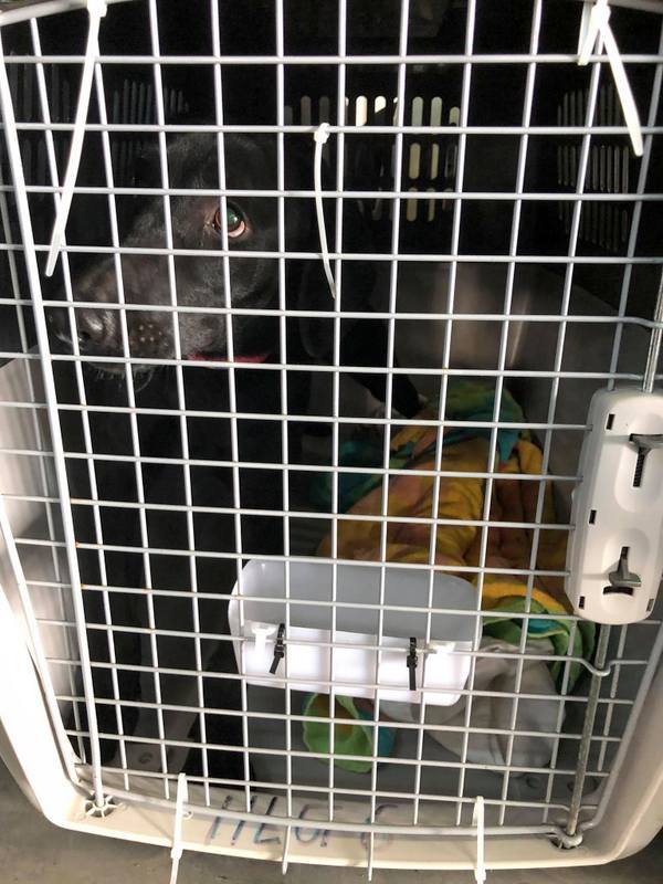 1 125944809 426036631761718 5724844015638724948 n