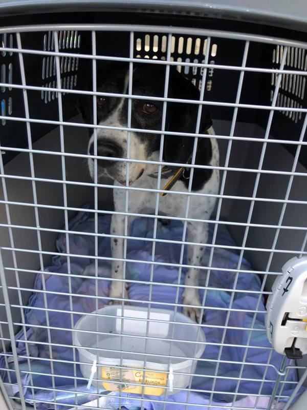 1 126514386 281792126609502 1133762298733011265 n