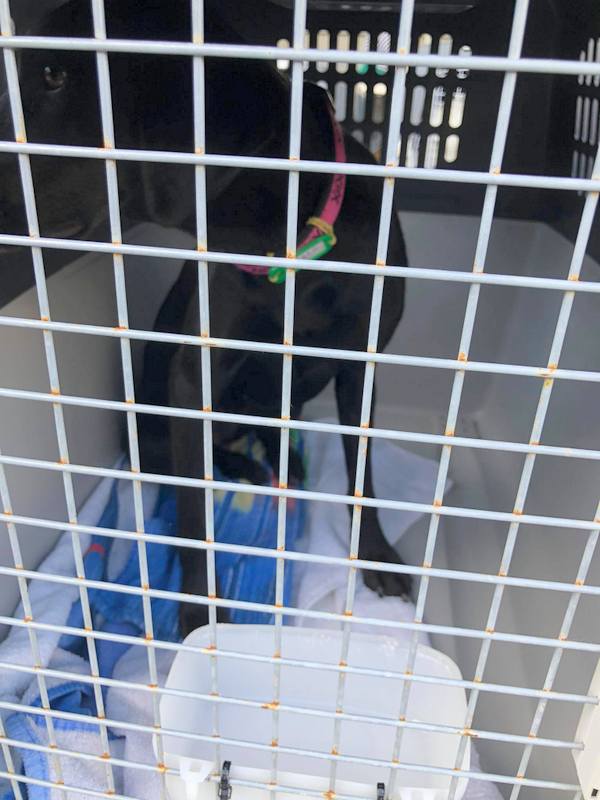 1 126617718 153440323143280 3267484683706394693 n