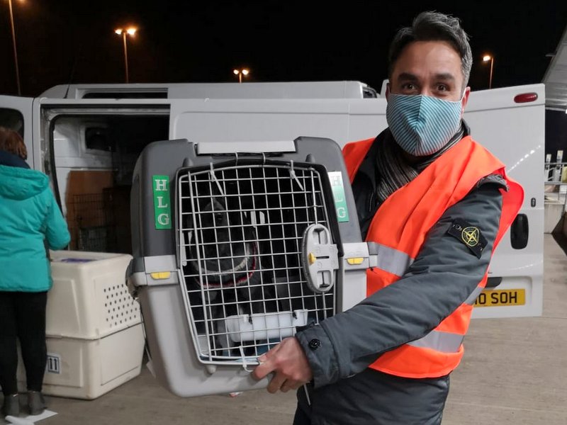 1 IMG 20201121 WA0081