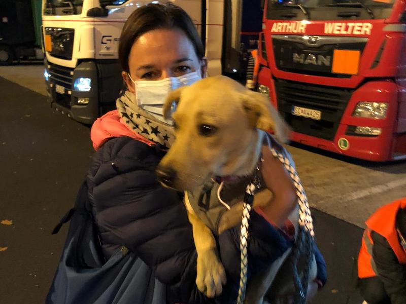 1 IMG 20201121 WA0156