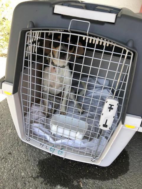 1 PHOTO 2020 06 20 20 00 36