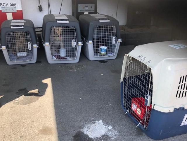 1 PHOTO 2020 06 20 20 00 38