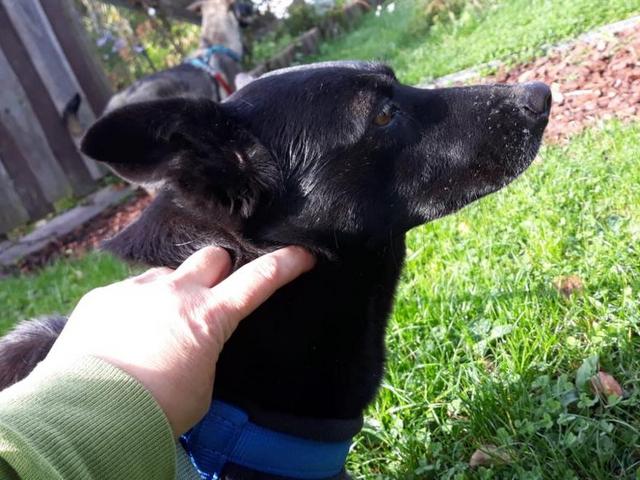 1 PHOTO2 2020 10 25 11 30 15