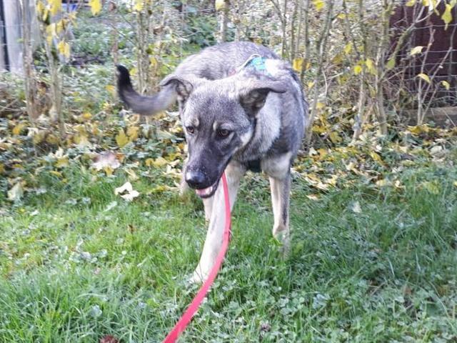 1 PHOTO4 2020 10 25 11 30 15