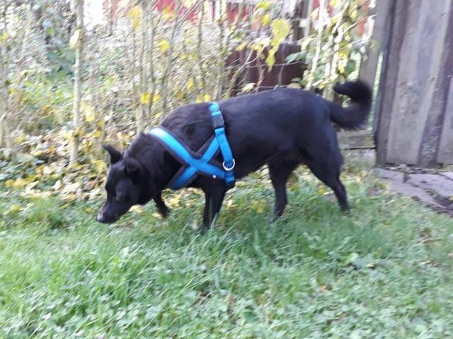 1 PHOTO5 2020 10 25 11 30 15