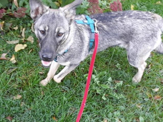 1 PHOTO7 2020 10 25 11 30 15