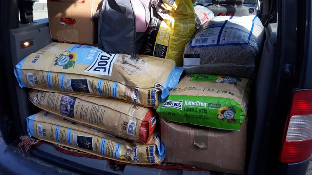 1 PHOTO8 2020 10 25 11 44 33