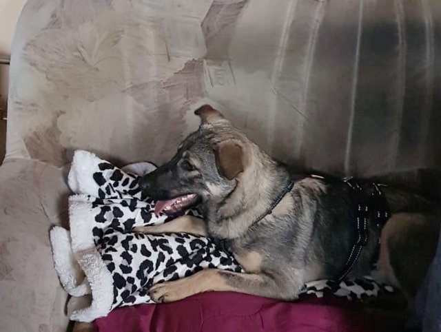 1 yukPHOTO 2020 10 25 23 28 30