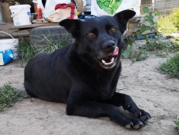 thumbmara IMG 20200829 114959 001