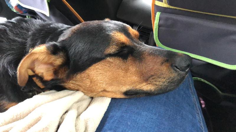 1 PHOTO 2021 05 13 20 23 17