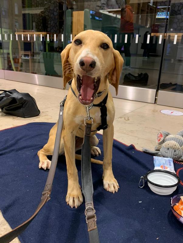 1 PHOTO 2021 05 13 20 23 20