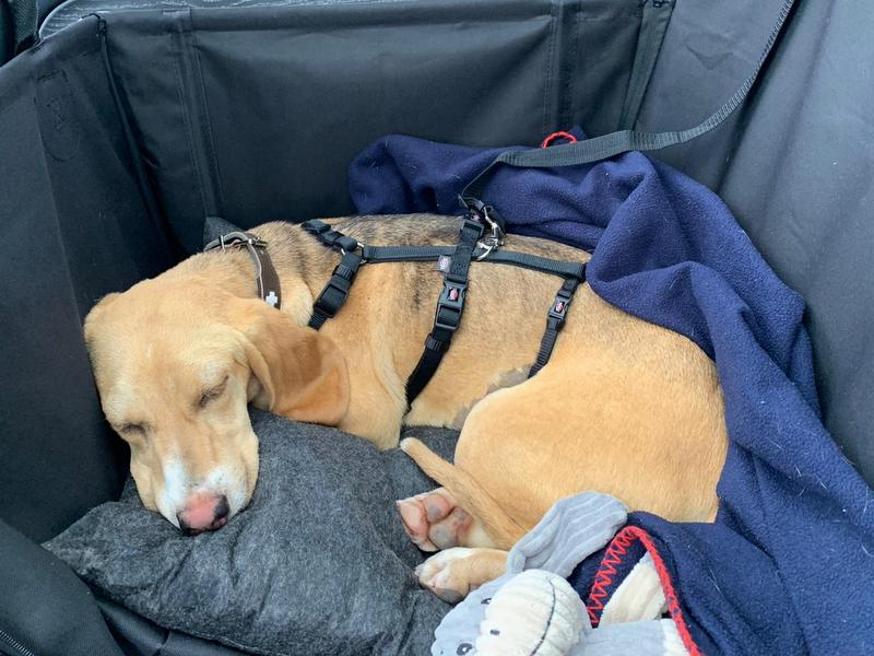 1 PHOTO 2021 05 13 20 23 28