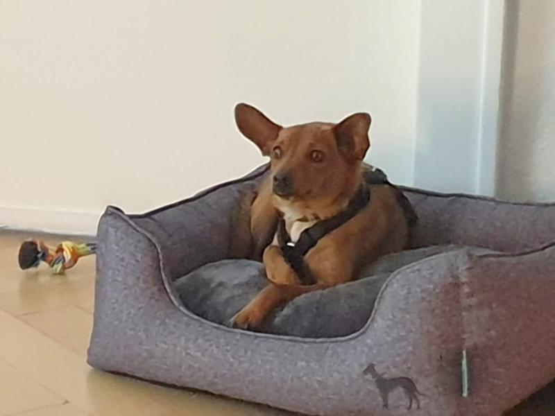 1 PHOTO1 2021 05 13 20 23 30