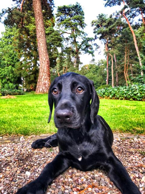 PHOTO 2021 08 23 19 49 01