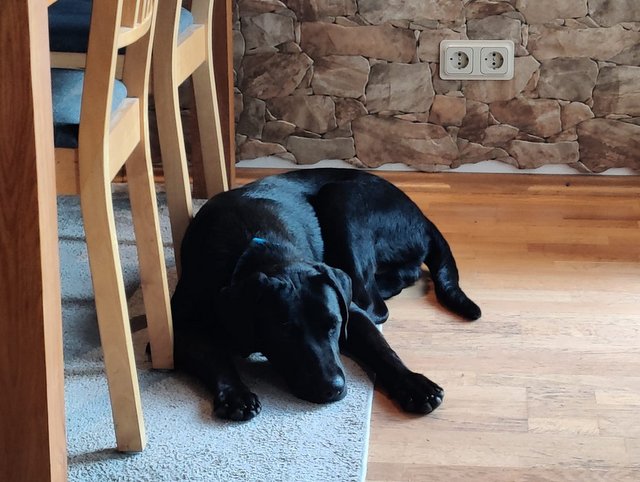 PHOTO 2021 08 23 20 24 22