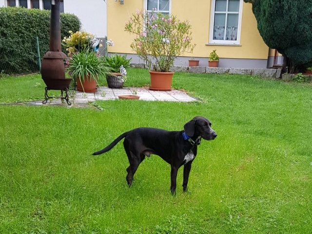 PHOTO 2021 08 24 08 44 04