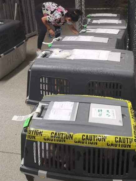 1 cid 179c614c82b5f21ac261