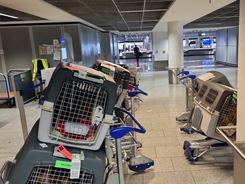 1 IMG 20210605 WA0014