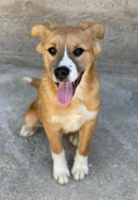 thumb IMG 20210416 224143