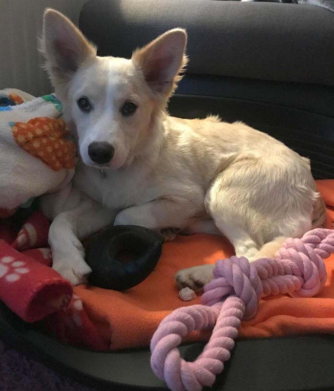 1 PHOTO 2021 05 07 08 14 38