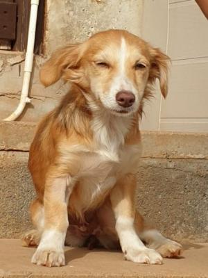 thumb IMG 20210324 WA0022