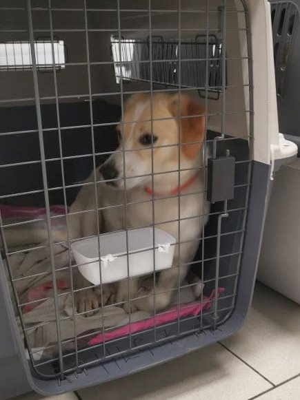 1 IMG 20210514 WA0120