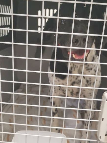 1 IMG 20210514 WA0122