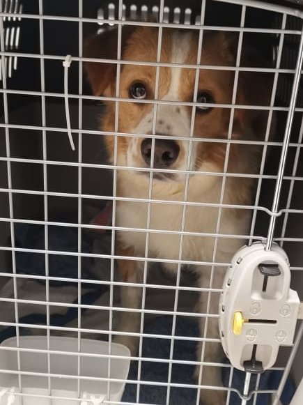 1 IMG 20210514 WA0126