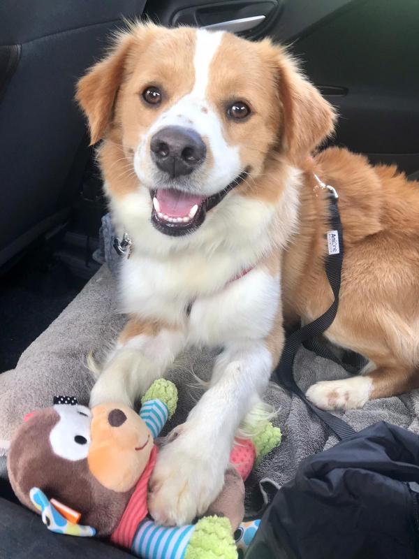 1 IMG 20210514 WA0044