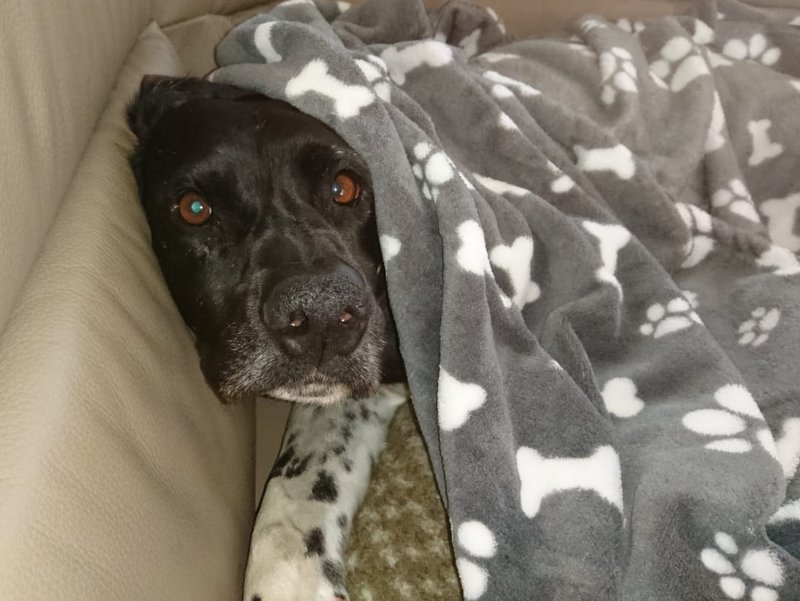 1 IMG 20210514 WA0045